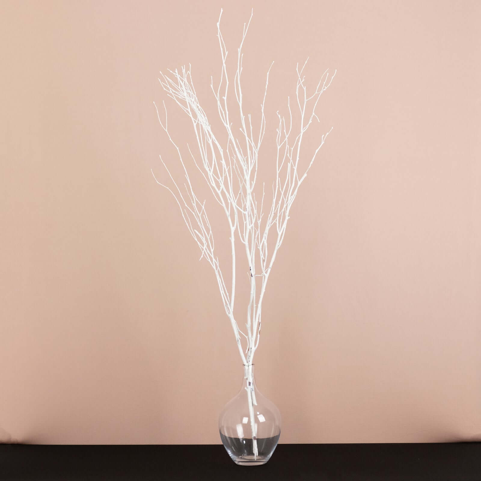 Hot Deal! 6-Pack White Natural Birch Branches, Extra Long for Wedding & Vase Decor