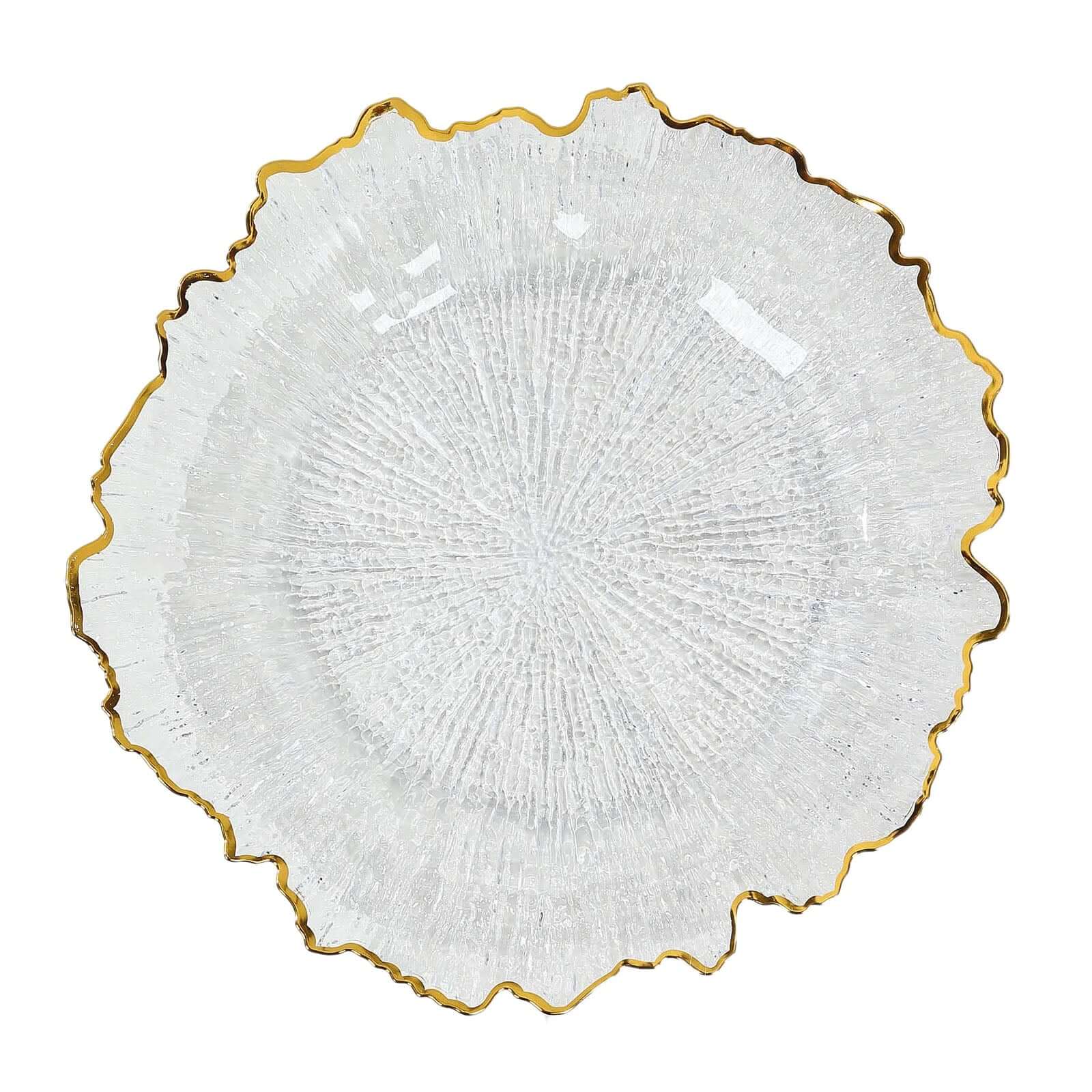 Hot Sale! 6-Pack 12-Inch Clear Plastic Round Charger Plates with Gold Reef Design for Dinner Parties