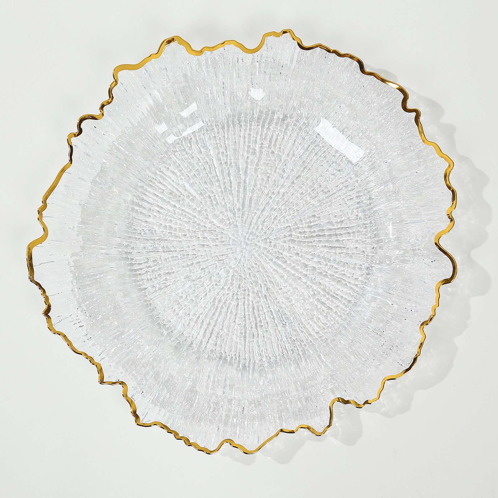 Hot Sale! 6-Pack 12-Inch Clear Plastic Round Charger Plates with Gold Reef Design for Dinner Parties