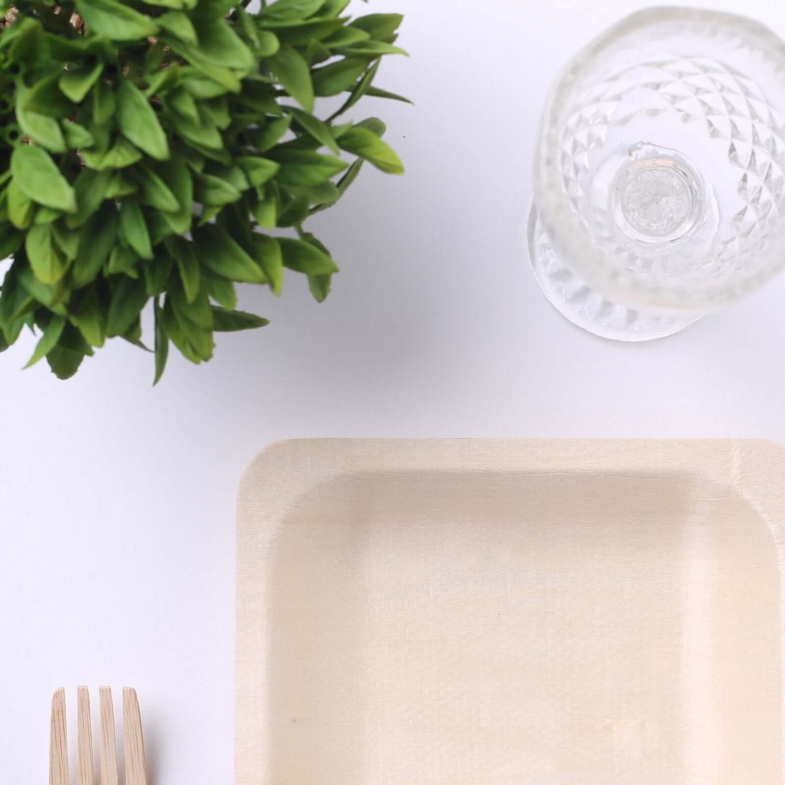 25-Piece Set of 6-Inch Square Eco-Friendly Birchwood Dessert and Appetizer Plates