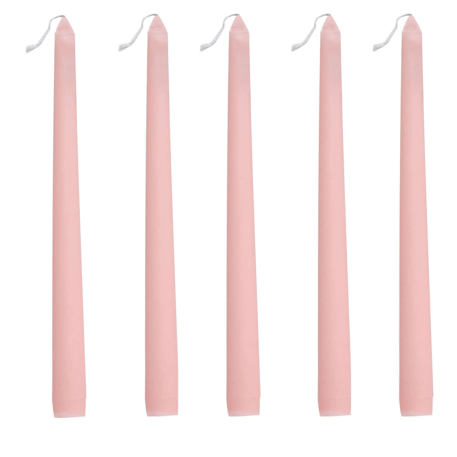 Exclusive 12-Pack Blush Unscented 10