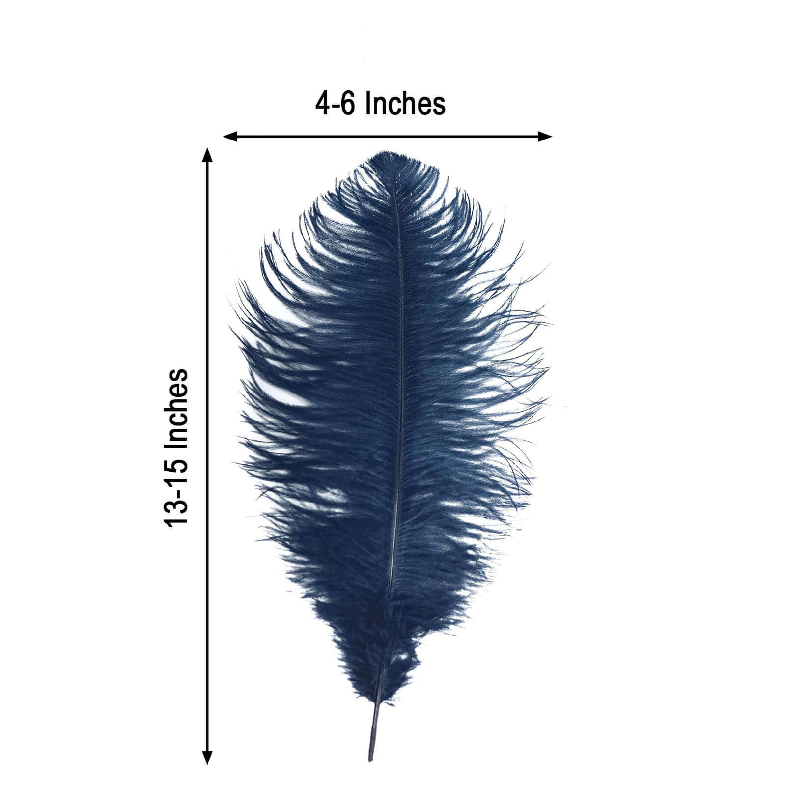 12-Piece Set of 13 - 15 Inch Navy Blue Authentic Ostrich Feathers for DIY Centerpieces
