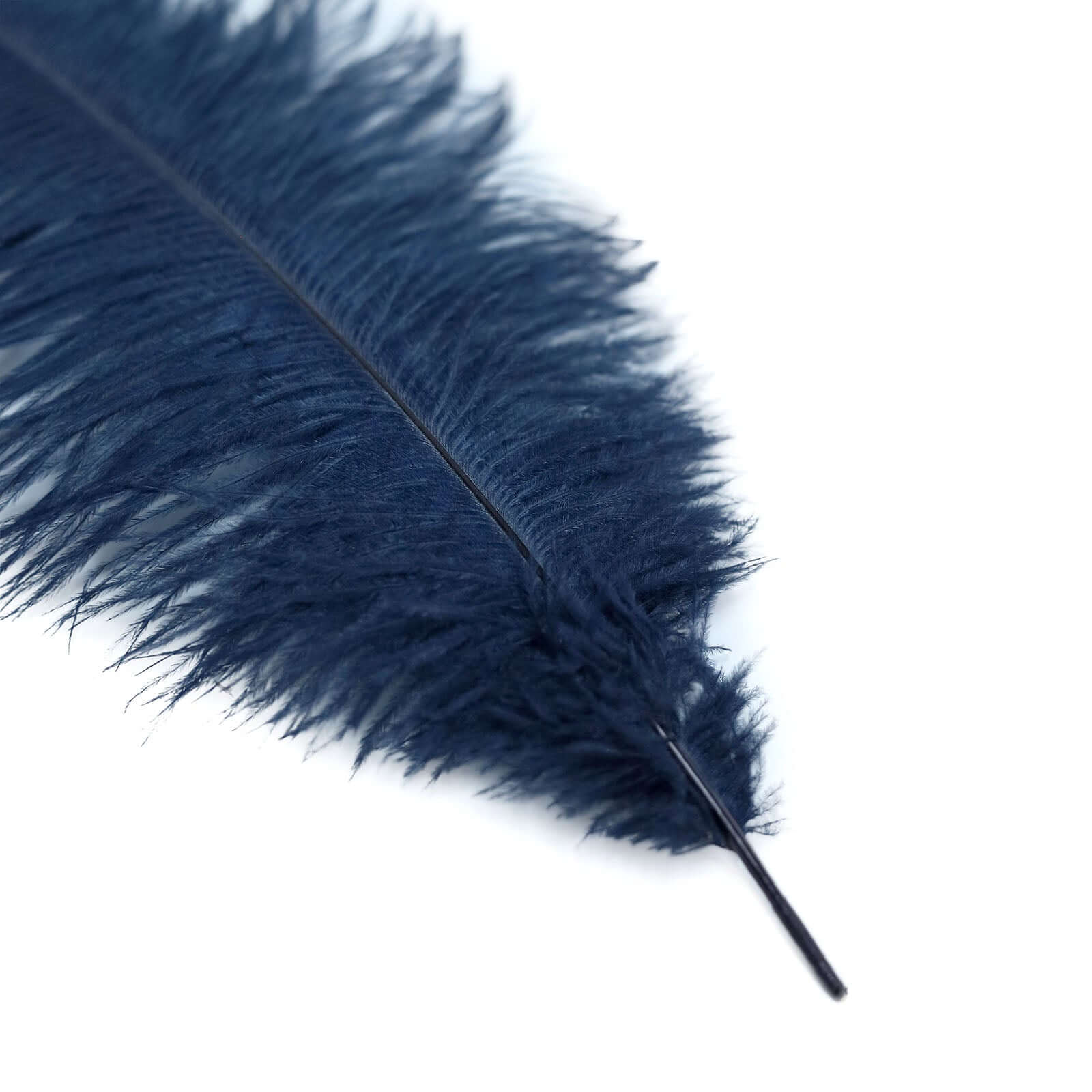12-Piece Set of 13 - 15 Inch Navy Blue Authentic Ostrich Feathers for DIY Centerpieces