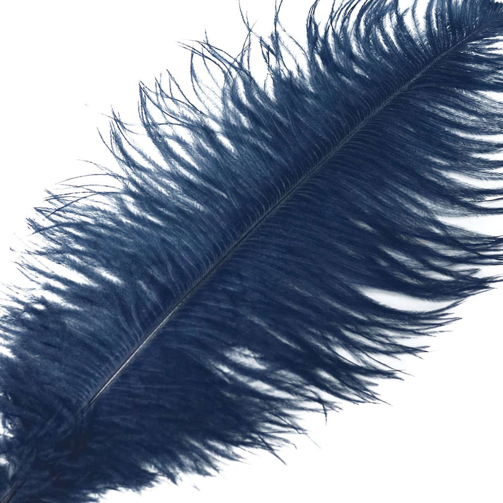 12-Piece Set of 13 - 15 Inch Navy Blue Authentic Ostrich Feathers for DIY Centerpieces
