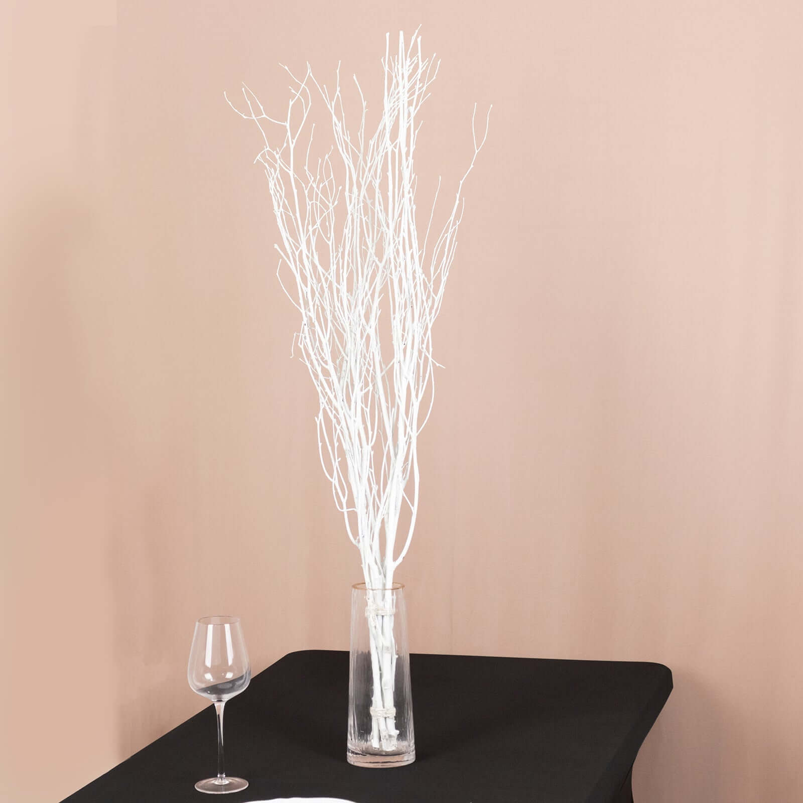 Hot Deal! 6-Pack White Natural Birch Branches, Extra Long for Wedding & Vase Decor