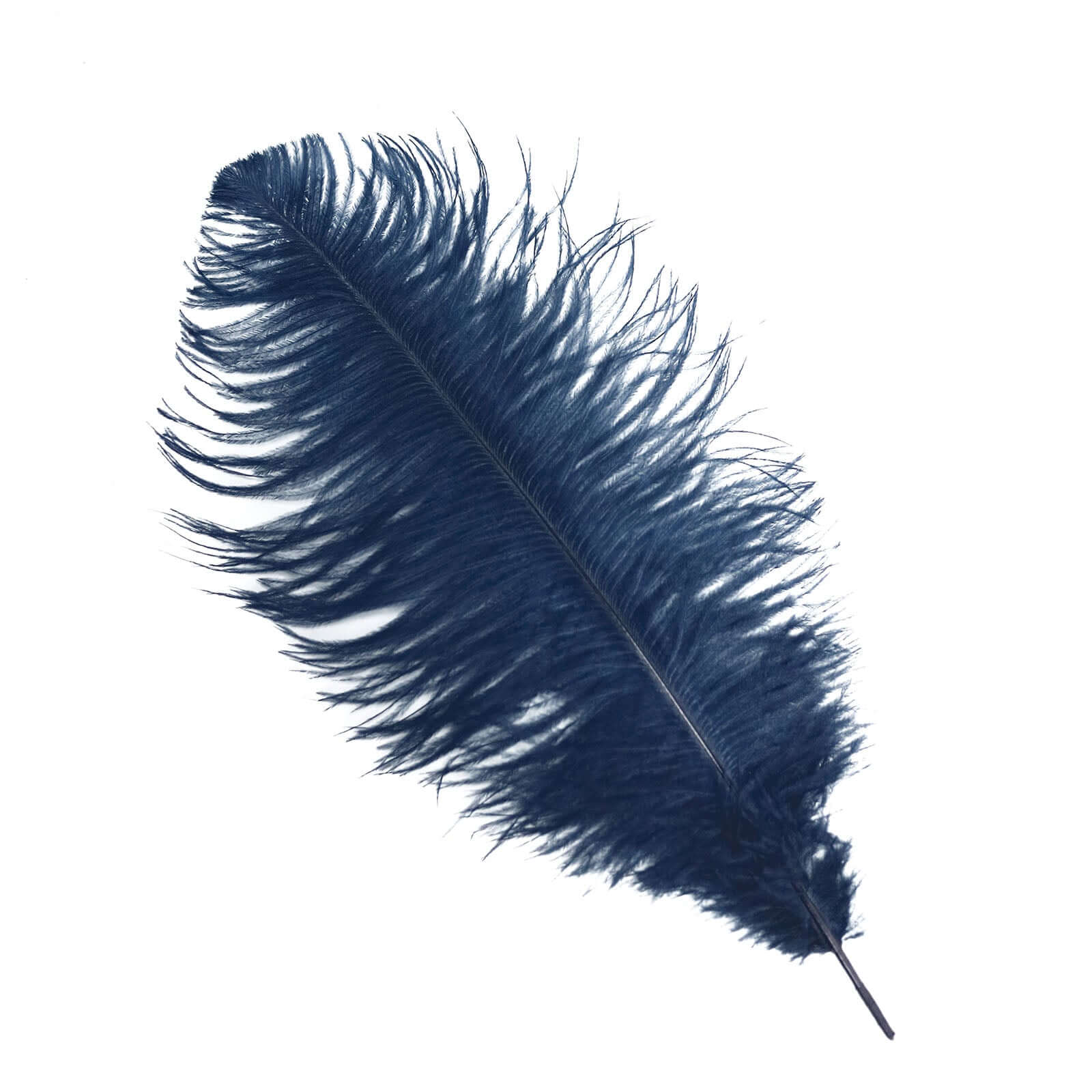 12-Piece Set of 13 - 15 Inch Navy Blue Authentic Ostrich Feathers for DIY Centerpieces