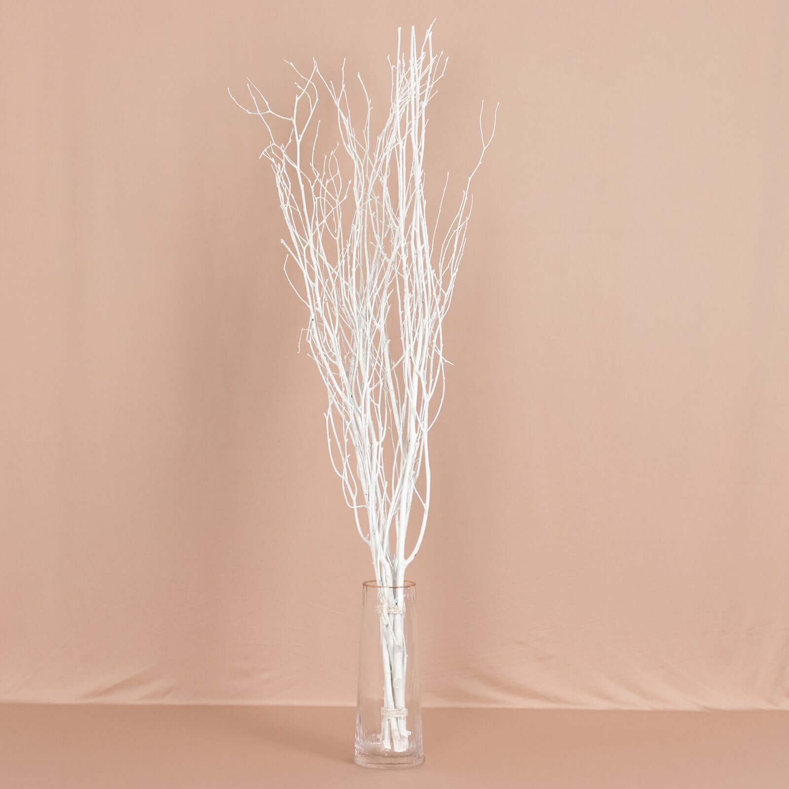 Hot Deal! 6-Pack White Natural Birch Branches, Extra Long for Wedding & Vase Decor