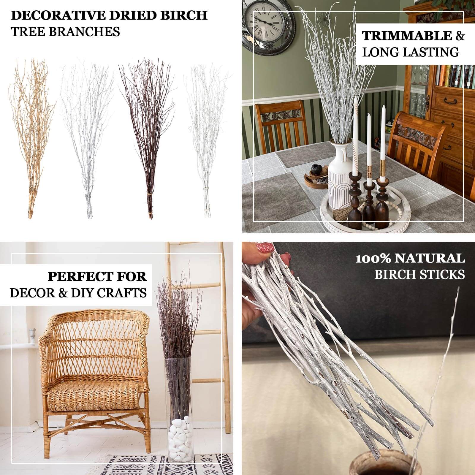 Hot Deal! 6-Pack White Natural Birch Branches, Extra Long for Wedding & Vase Decor