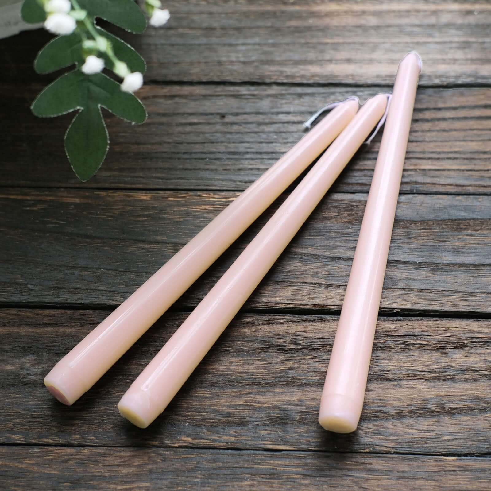 Exclusive 12-Pack Blush Unscented 10