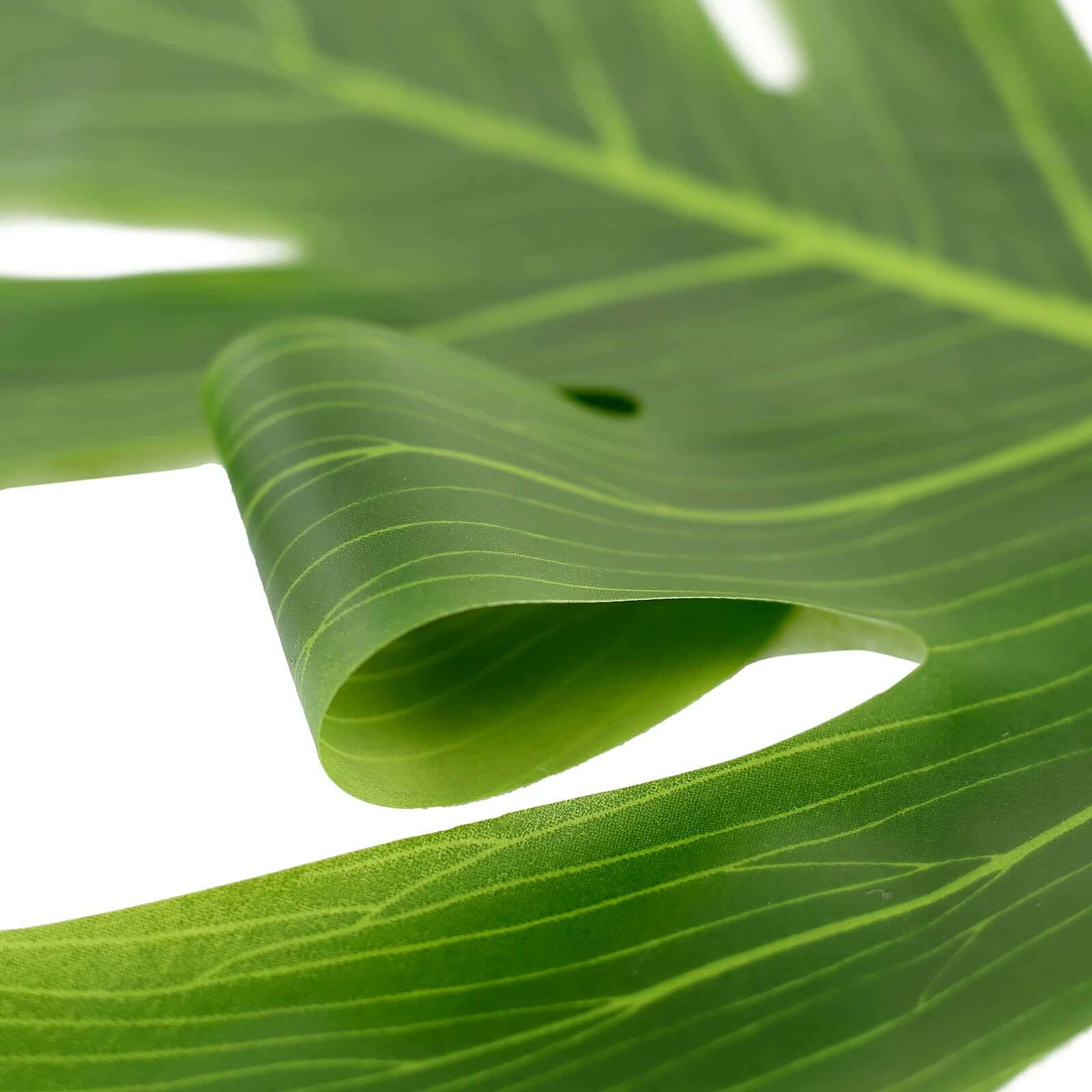 Hot Deal! 12-Pack Large Green Artificial Monstera Palm Leaves for Summer Theme Parties